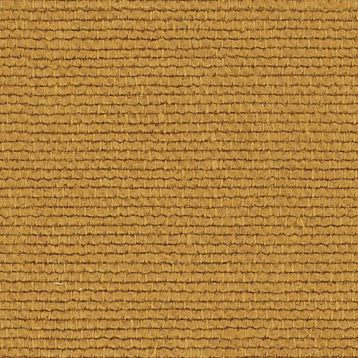 Linette 19618215