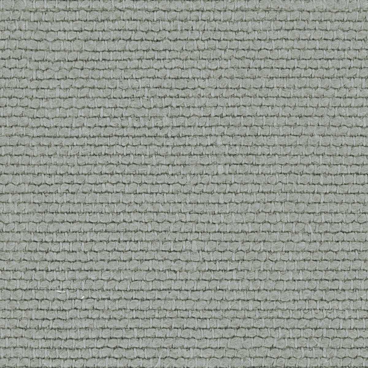 Linette 19618564