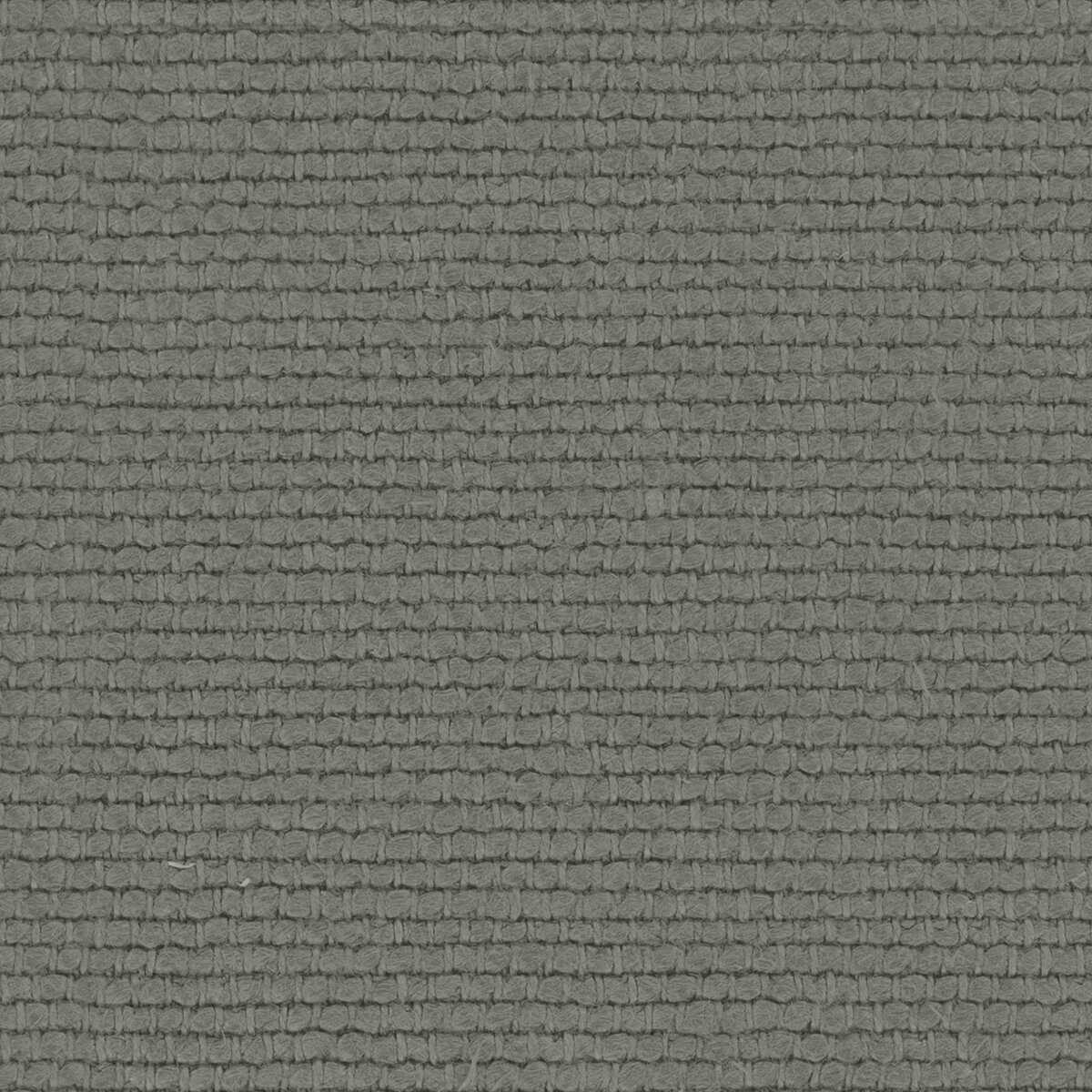 Linette 19618786