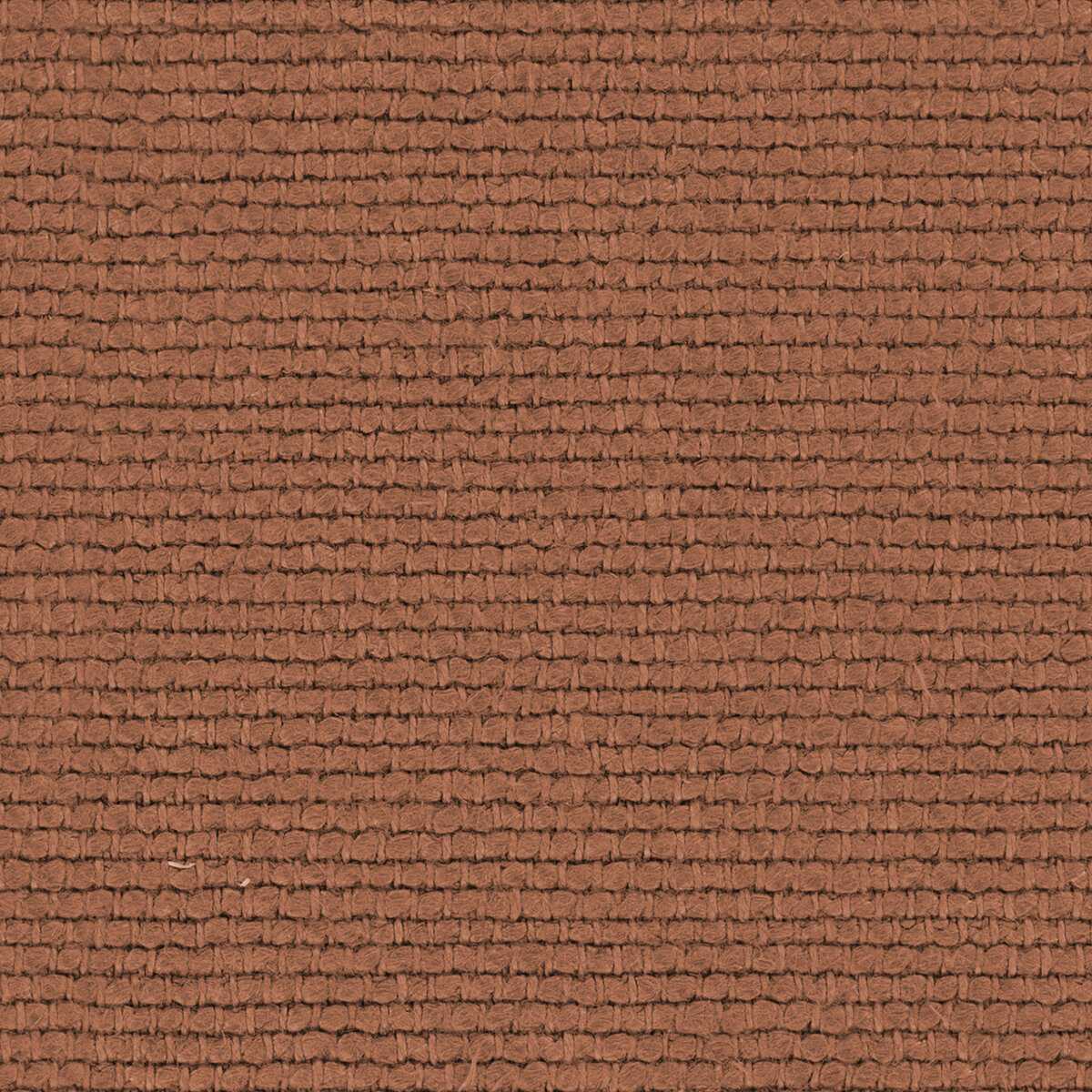 Linette 19618832