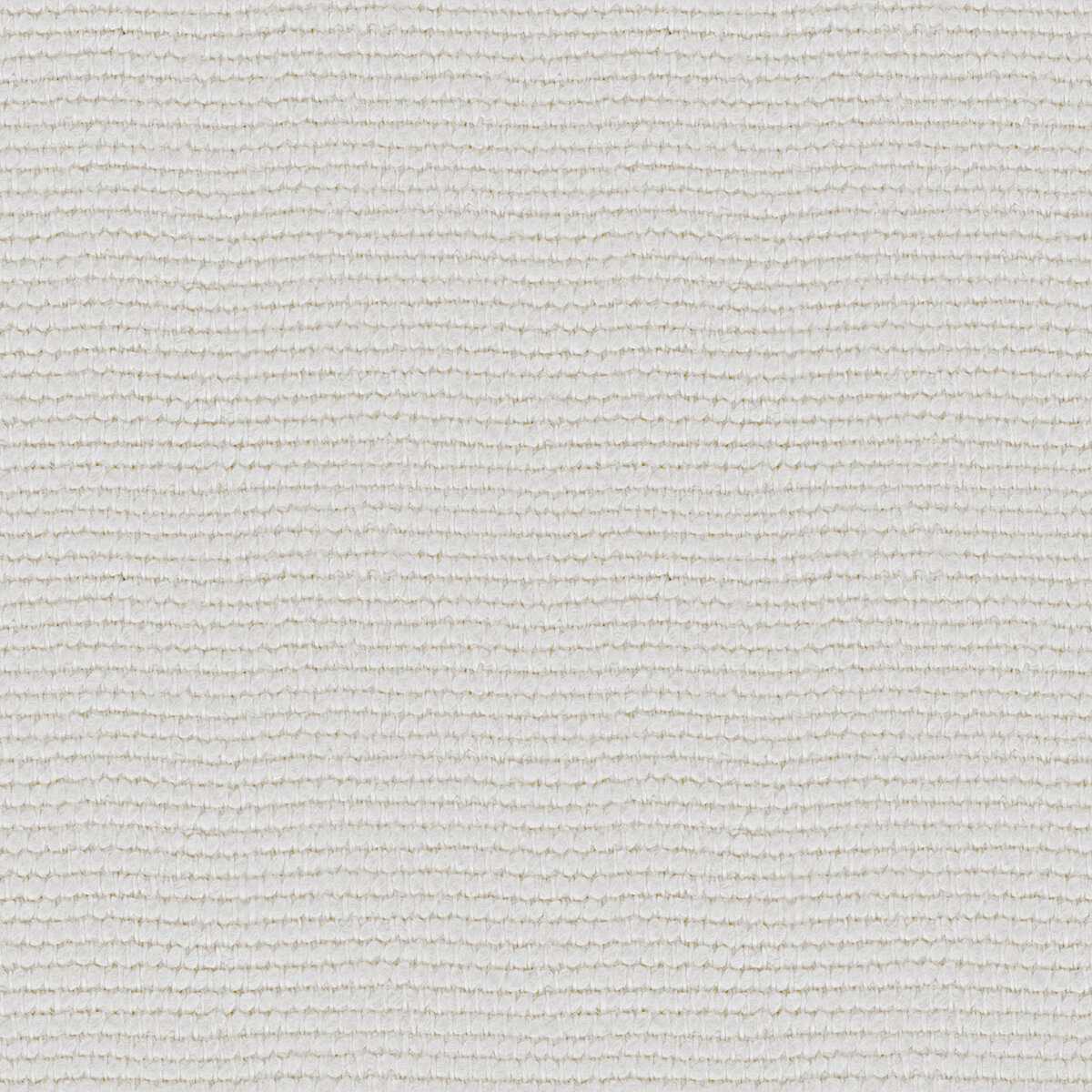 Linette 19618880