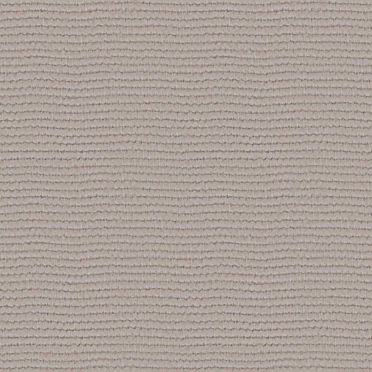 Linette 19618881