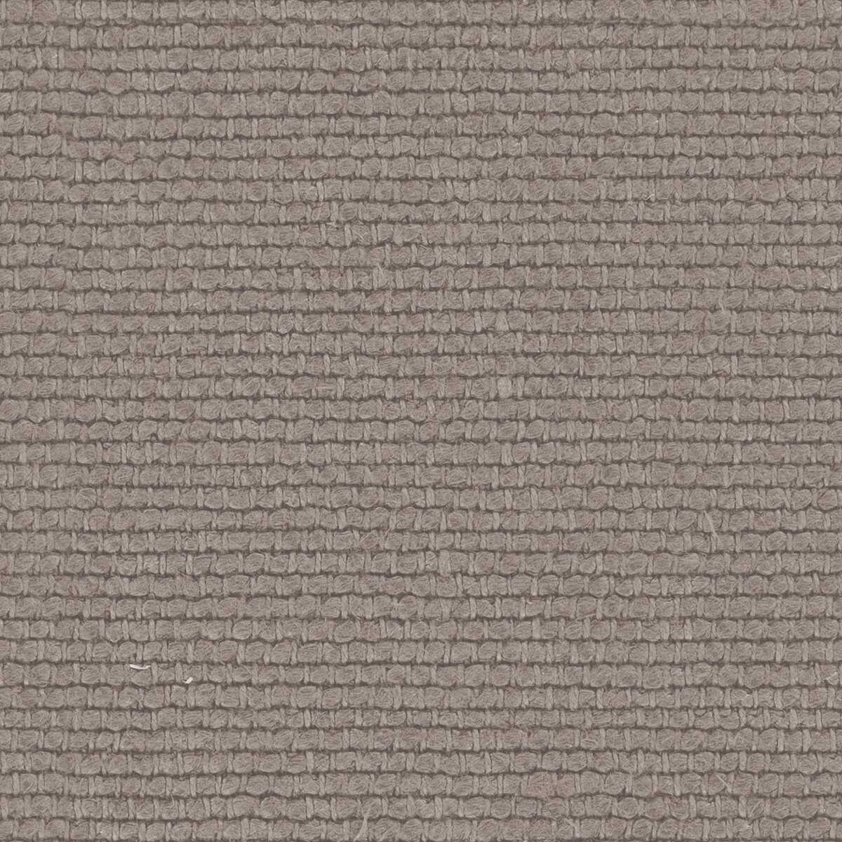 Linette 19618886