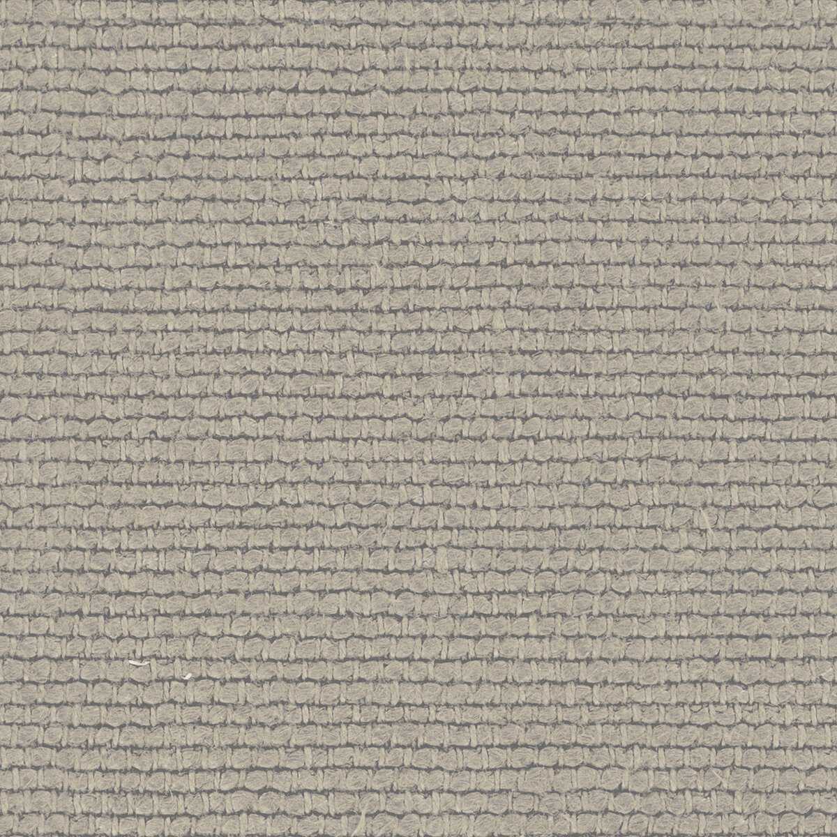 Linette 19618893