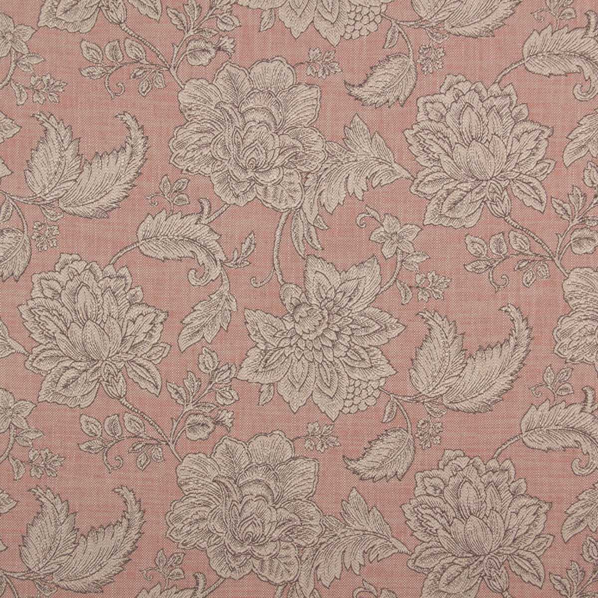 Pivoine 19531234