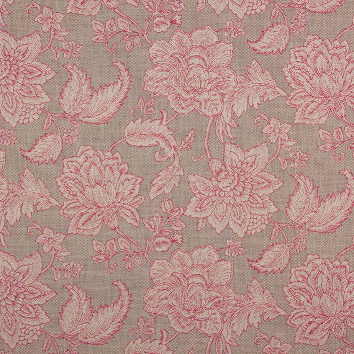Pivoine 19531495