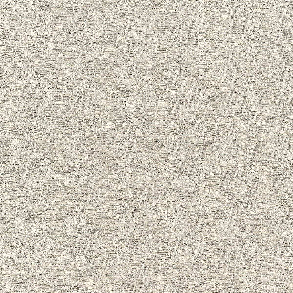 Eucalyptus 10735_09