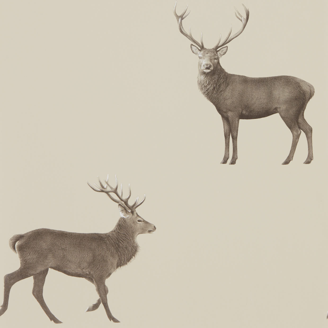 Evesham Deer 216618