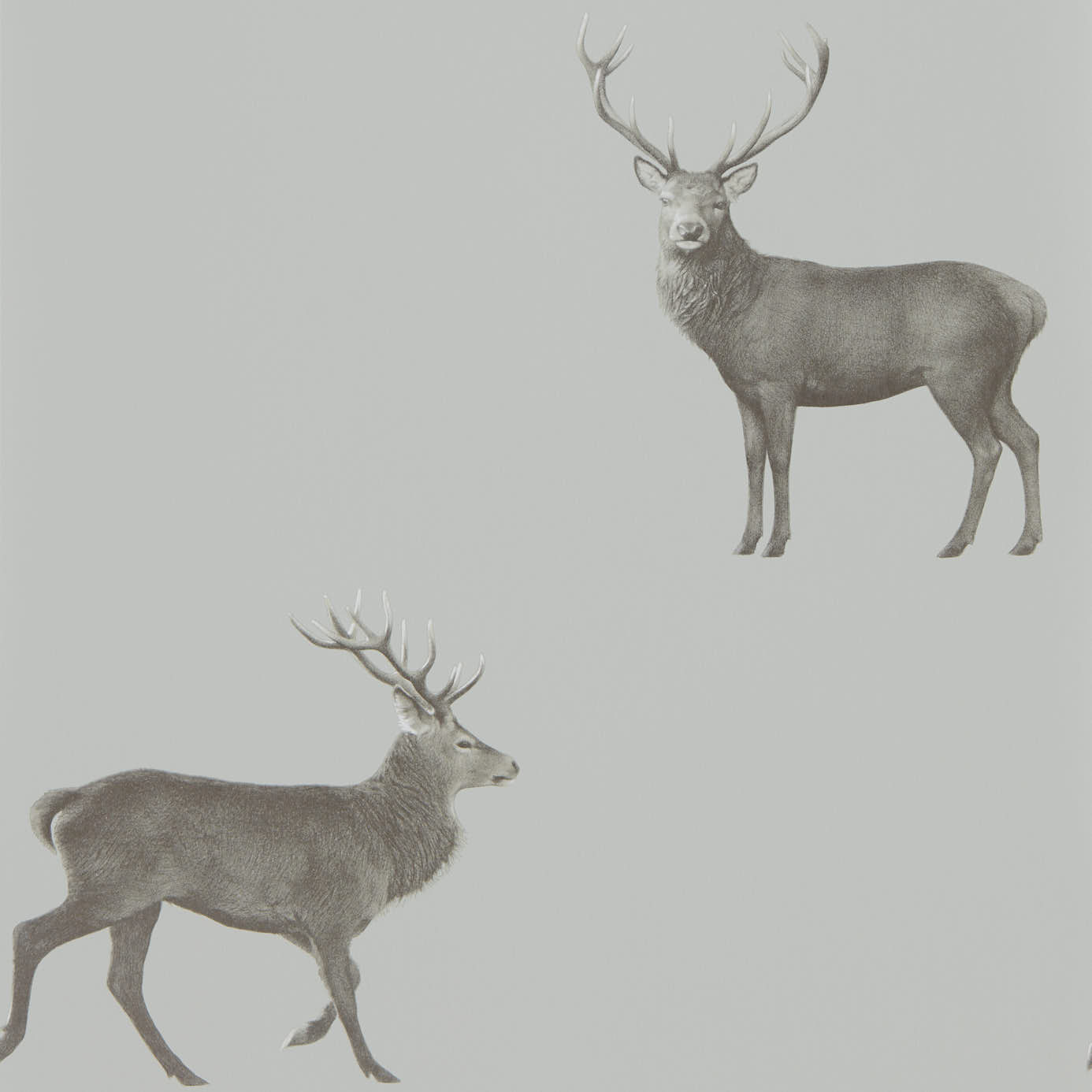 Evesham Deer 216619