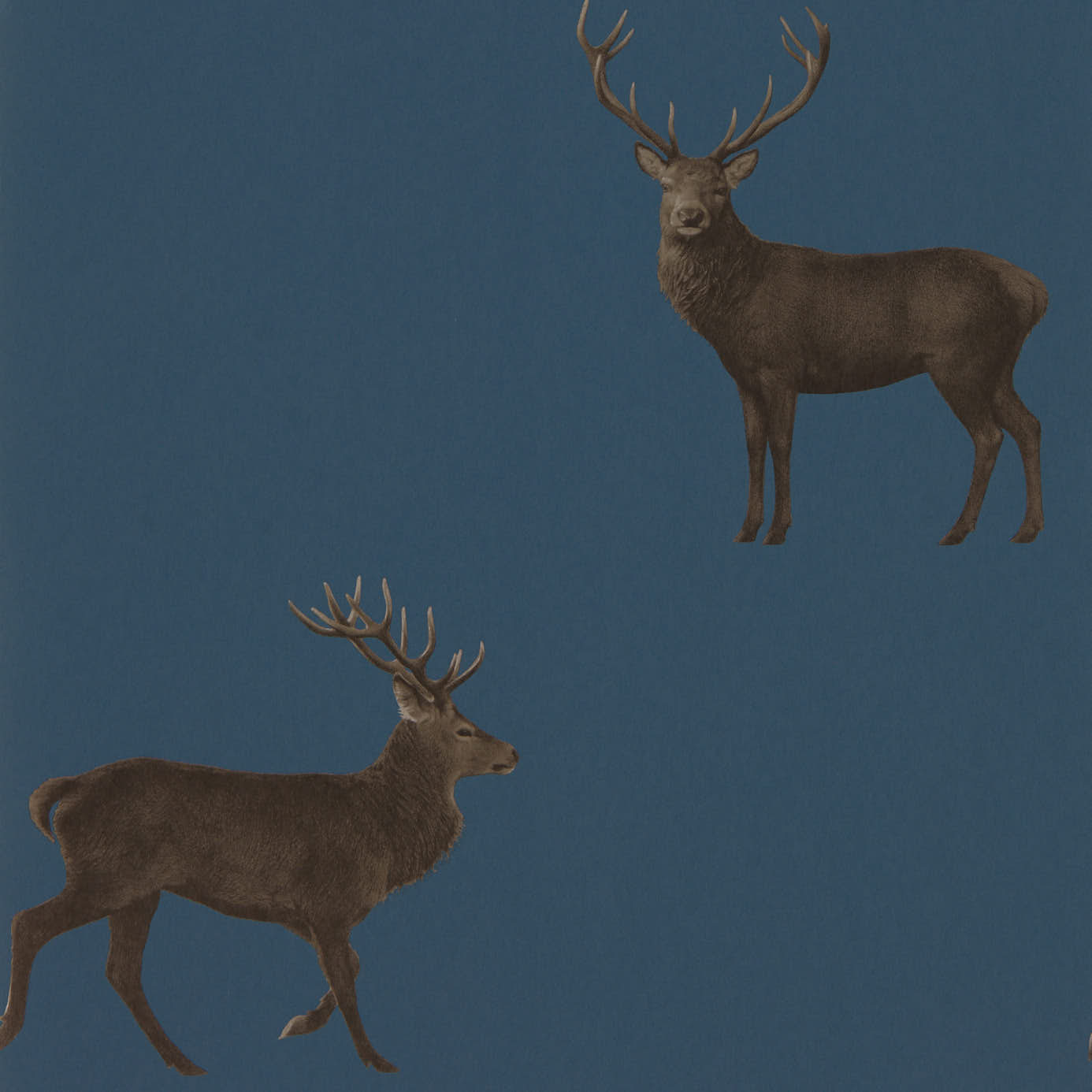 Evesham Deer 216620