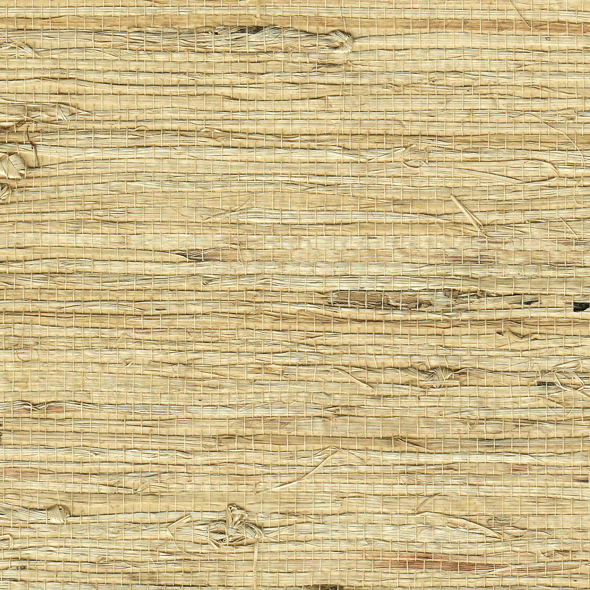 Extra Fine Arrowroot Almond 1740