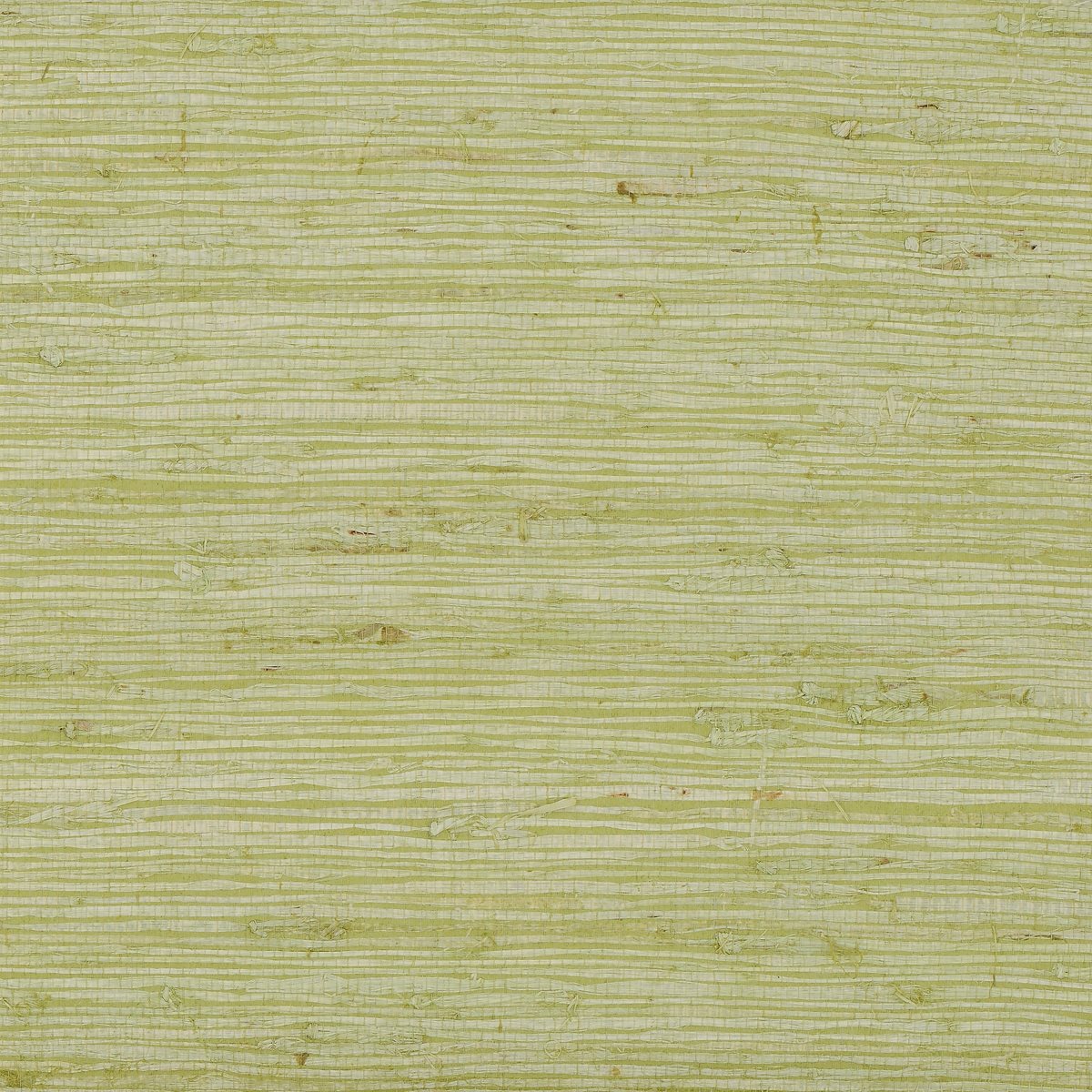 Extra Fine Arrowroot Lotus 1969