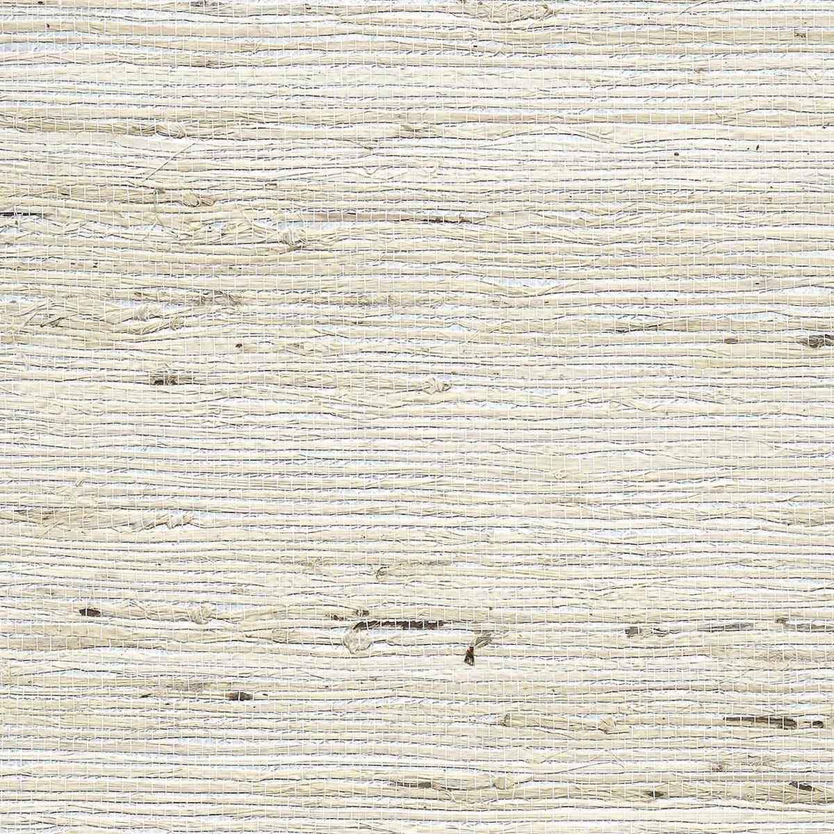 Extra Fine Arrowroot Silver Juxtapoz 3844
