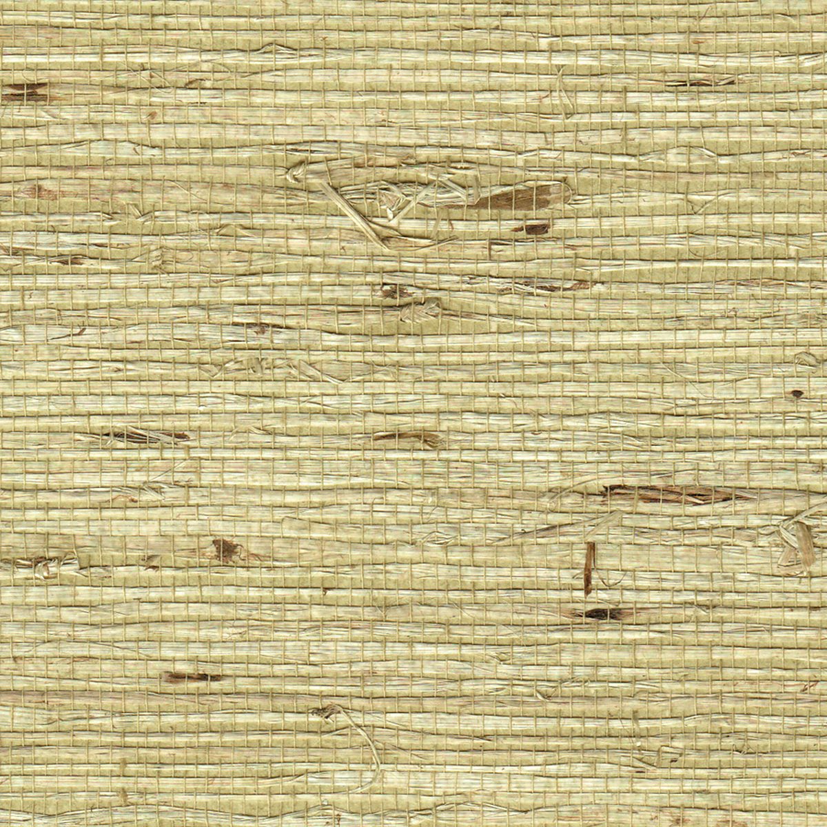 Extra Fine Arrowroot Springtime 1737