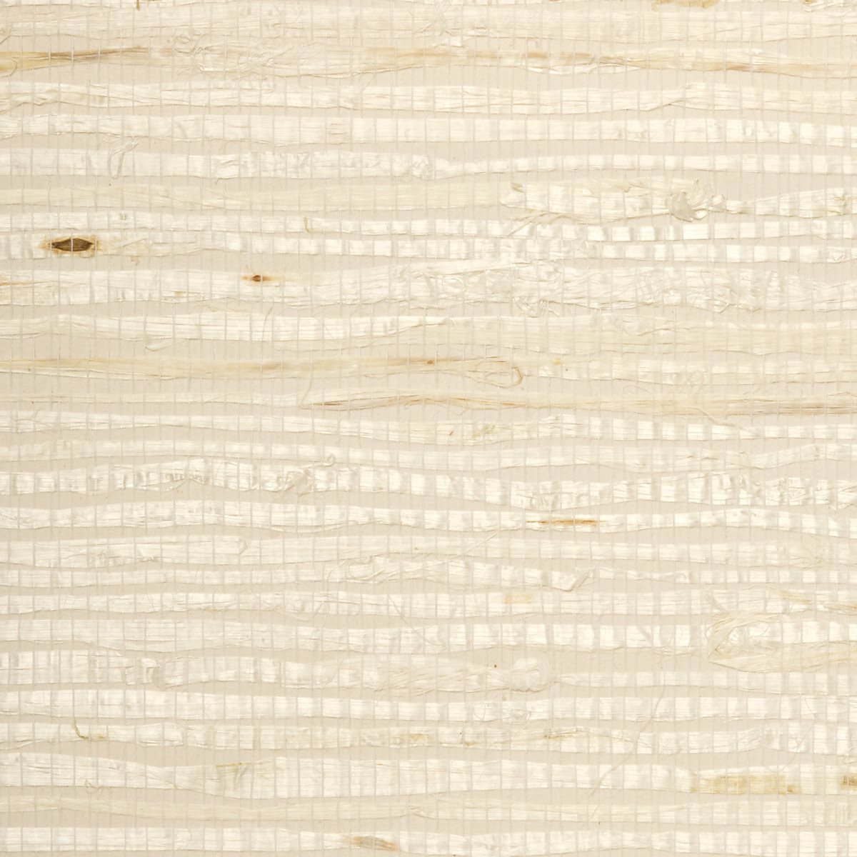 Extra-Fine Arrowroot White 5202
