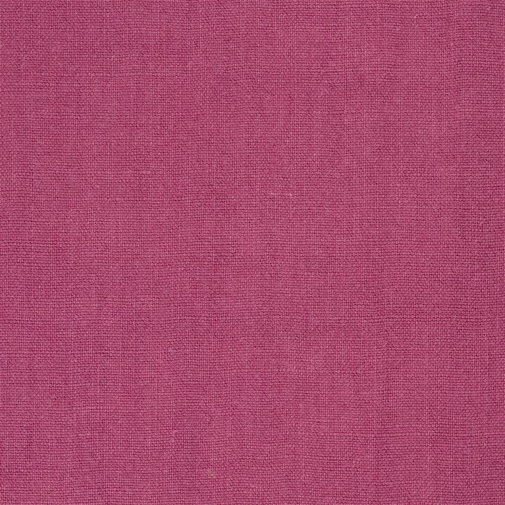 Alaro Cassis FW066-14