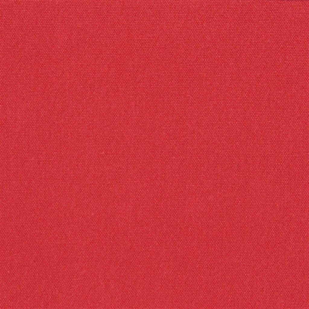 Allia F1795-34