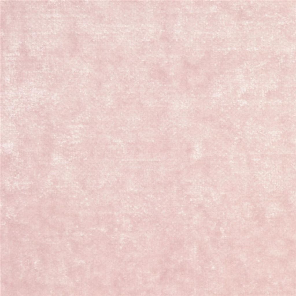Appia F1743-14