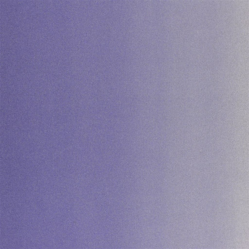 Capisoli FDG2188-02