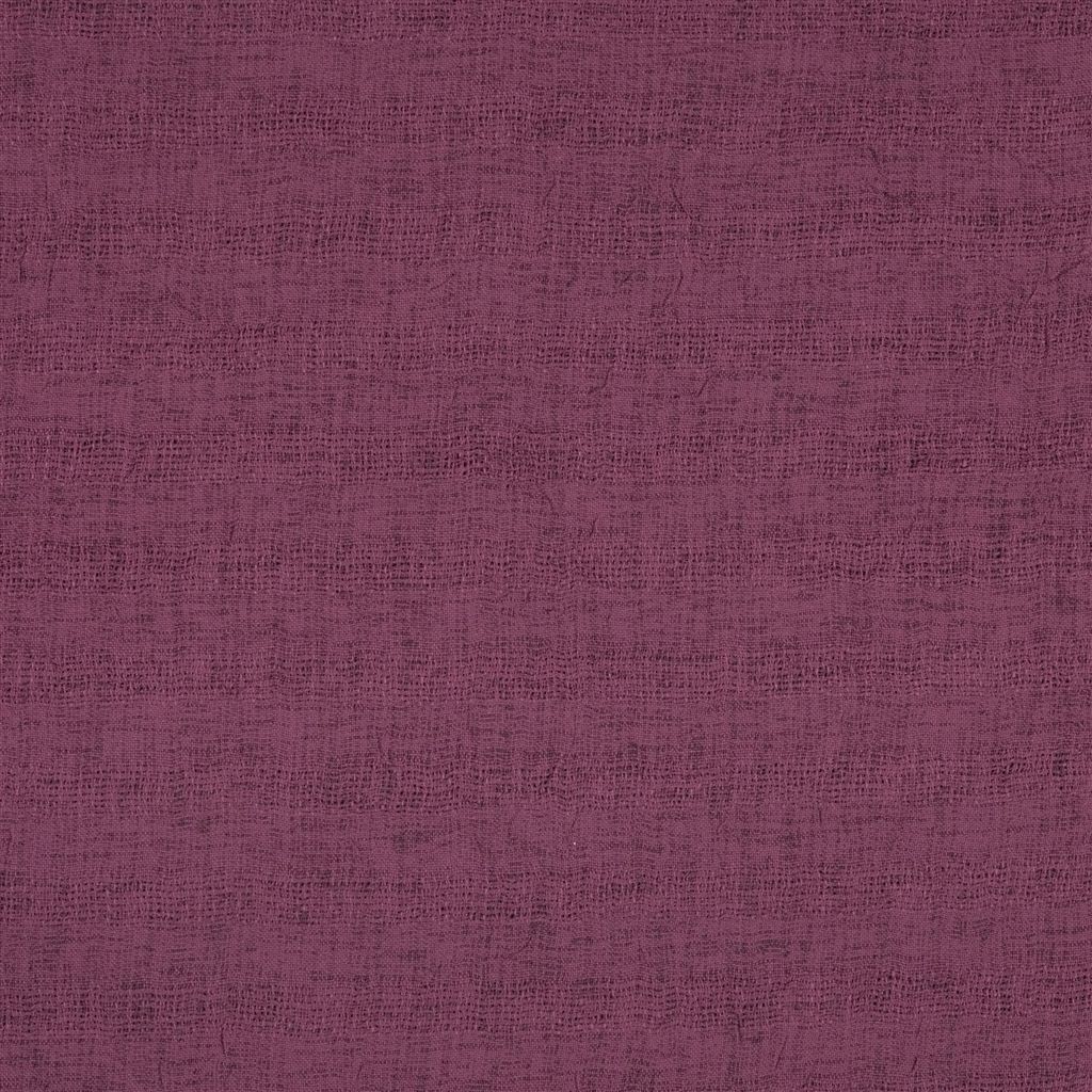 Caplina F1646-07
