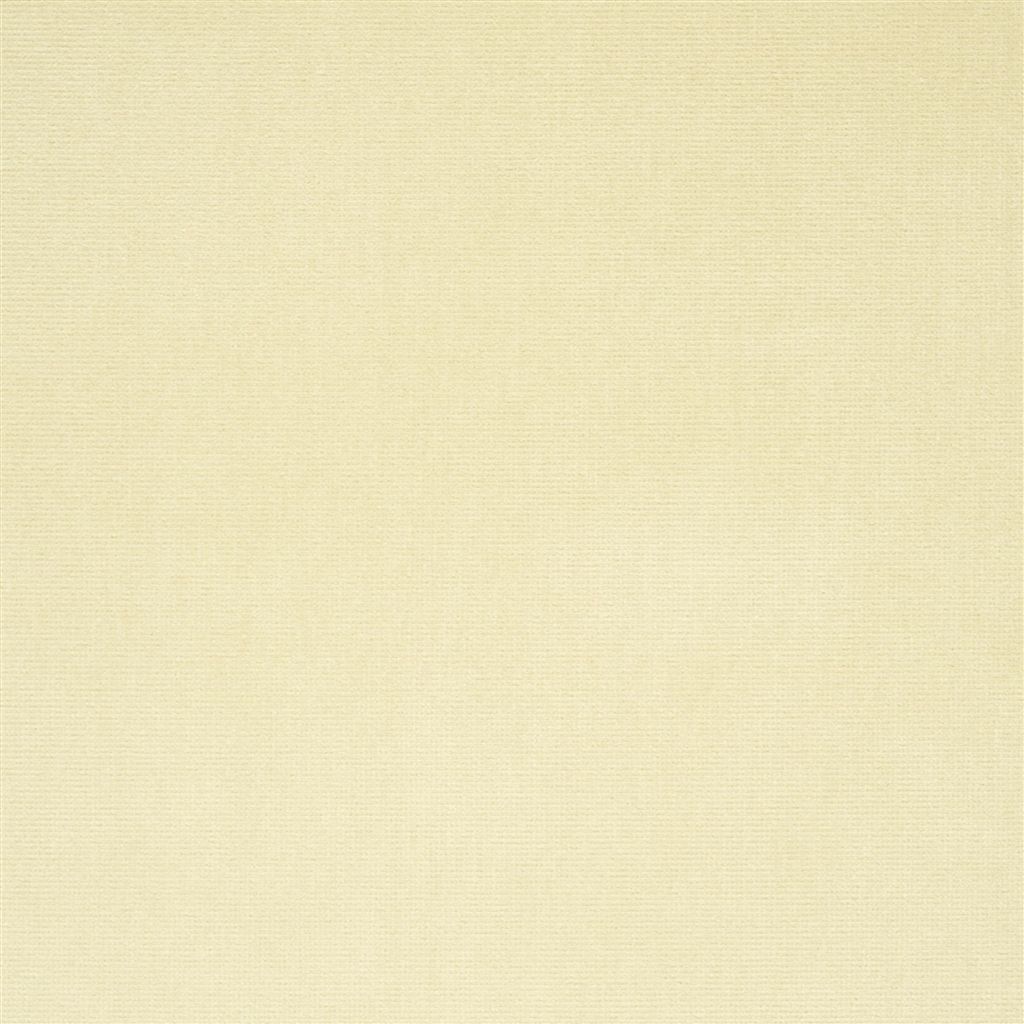 English Riding Velvet Buckskin FLFY64731