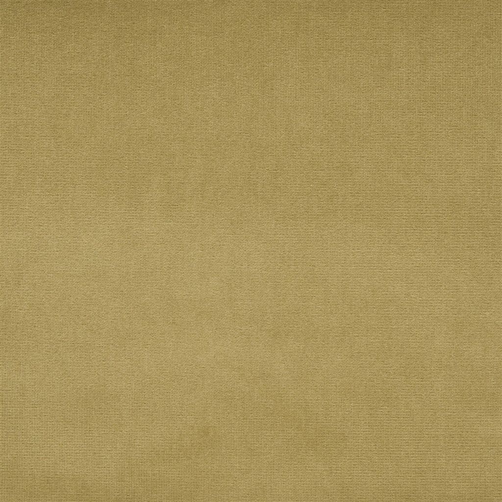 English Riding Velvet Camel FLFY64735