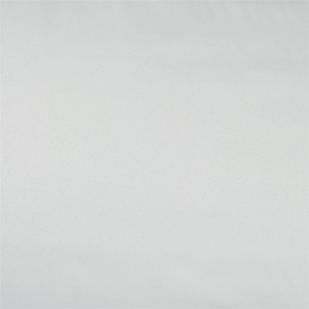 Patia F1649-03
