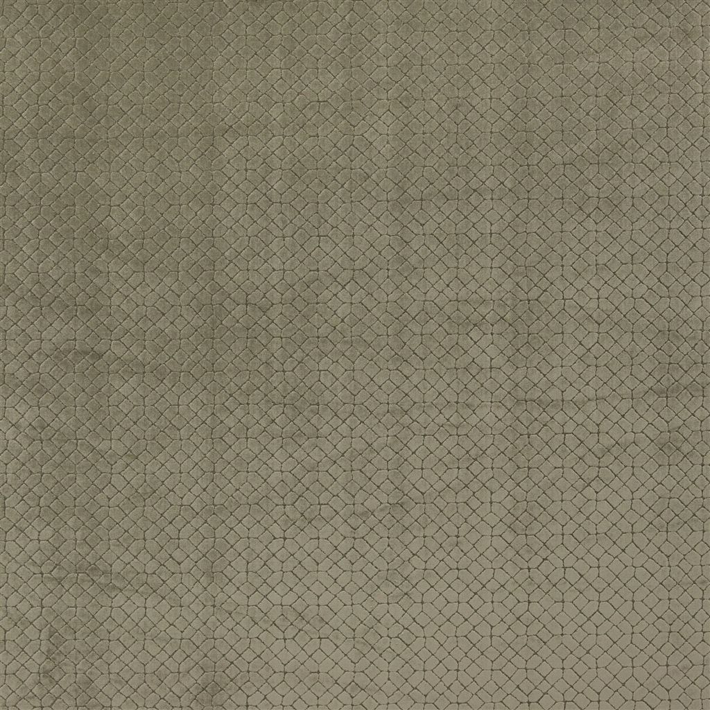 Riolo FT2026-01
