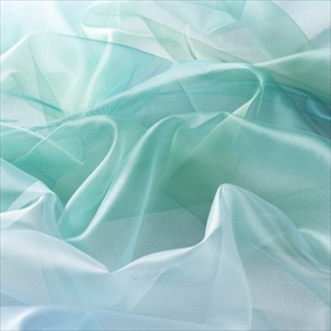 Chloe WE7202-080