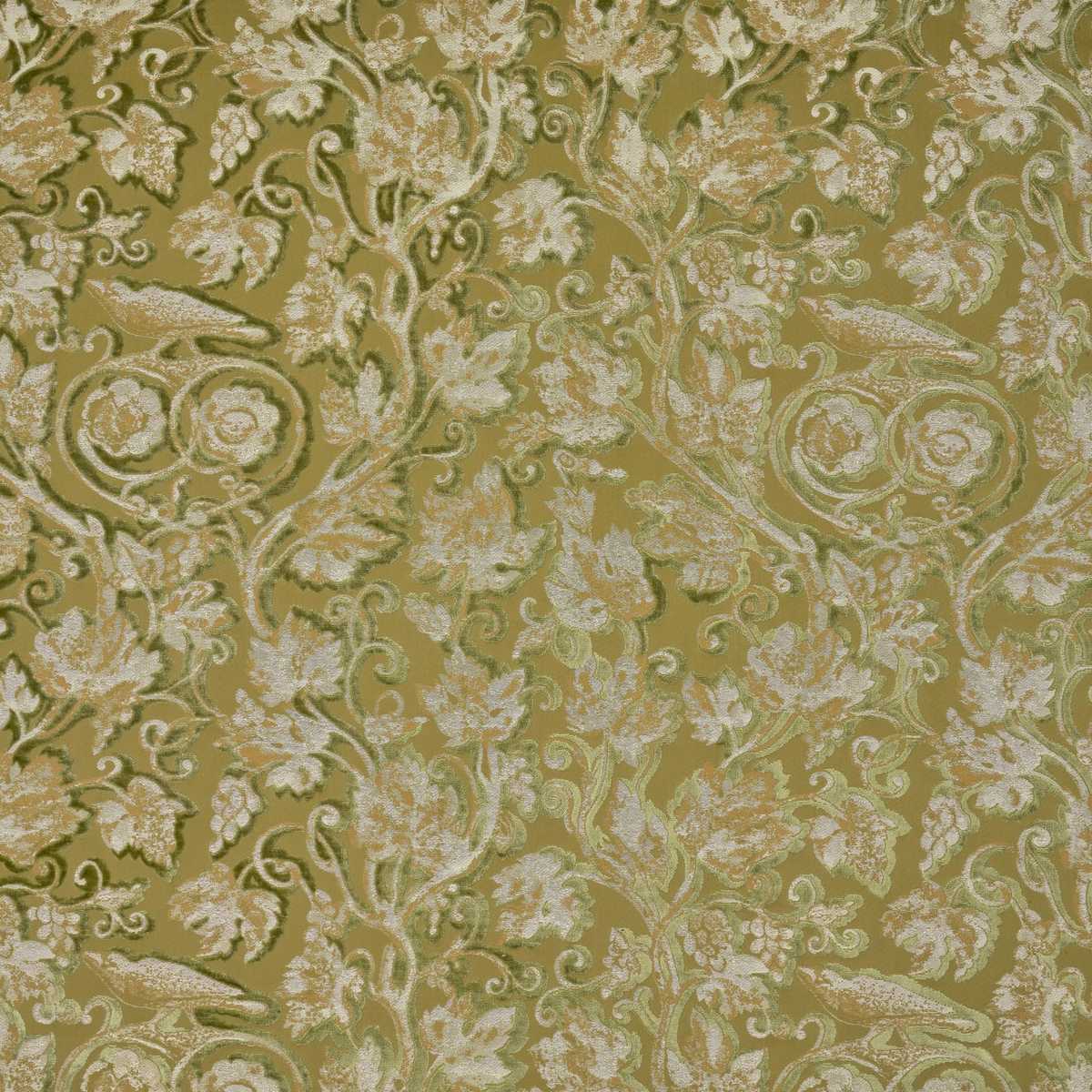 Campanella I6652001