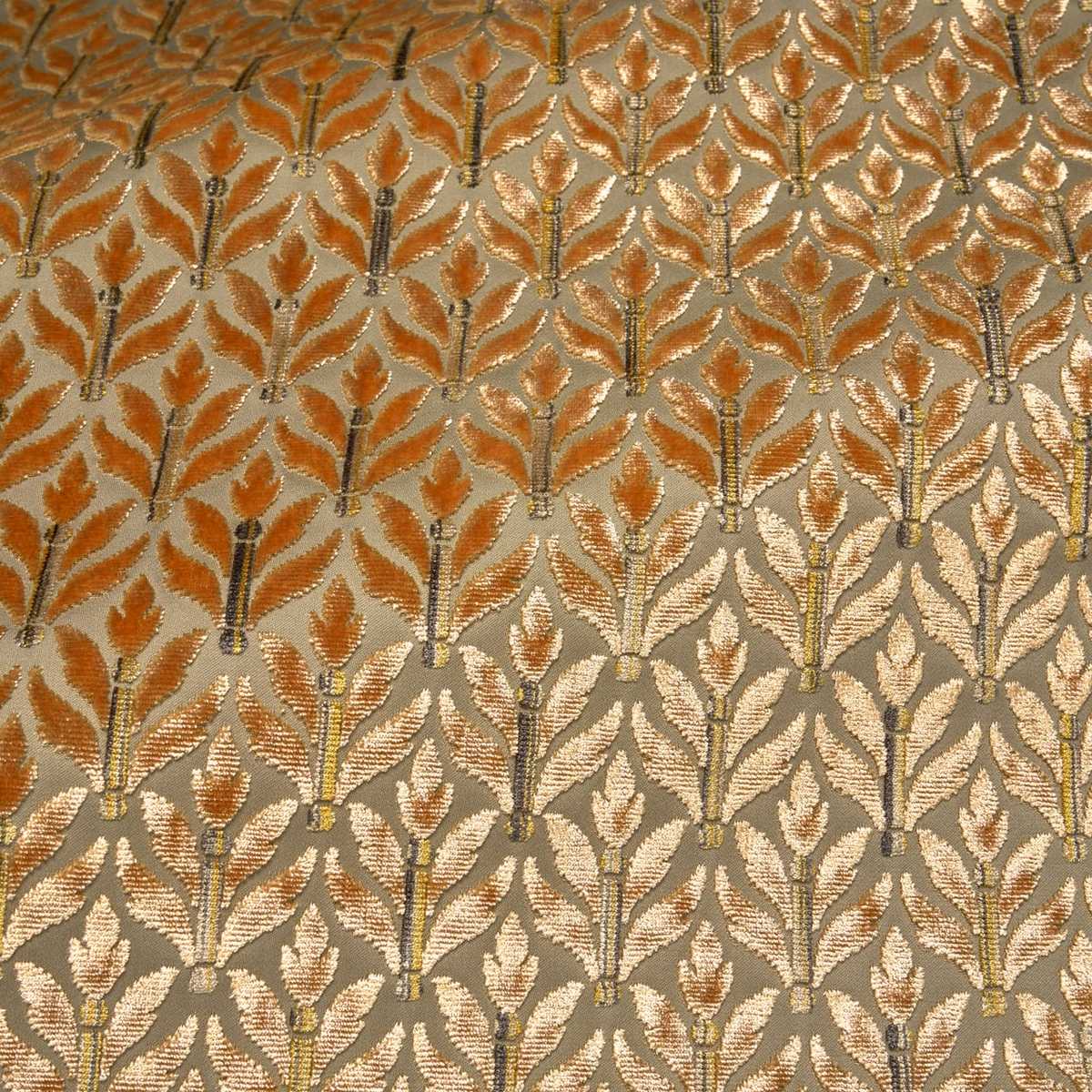 Cornelia I6655001