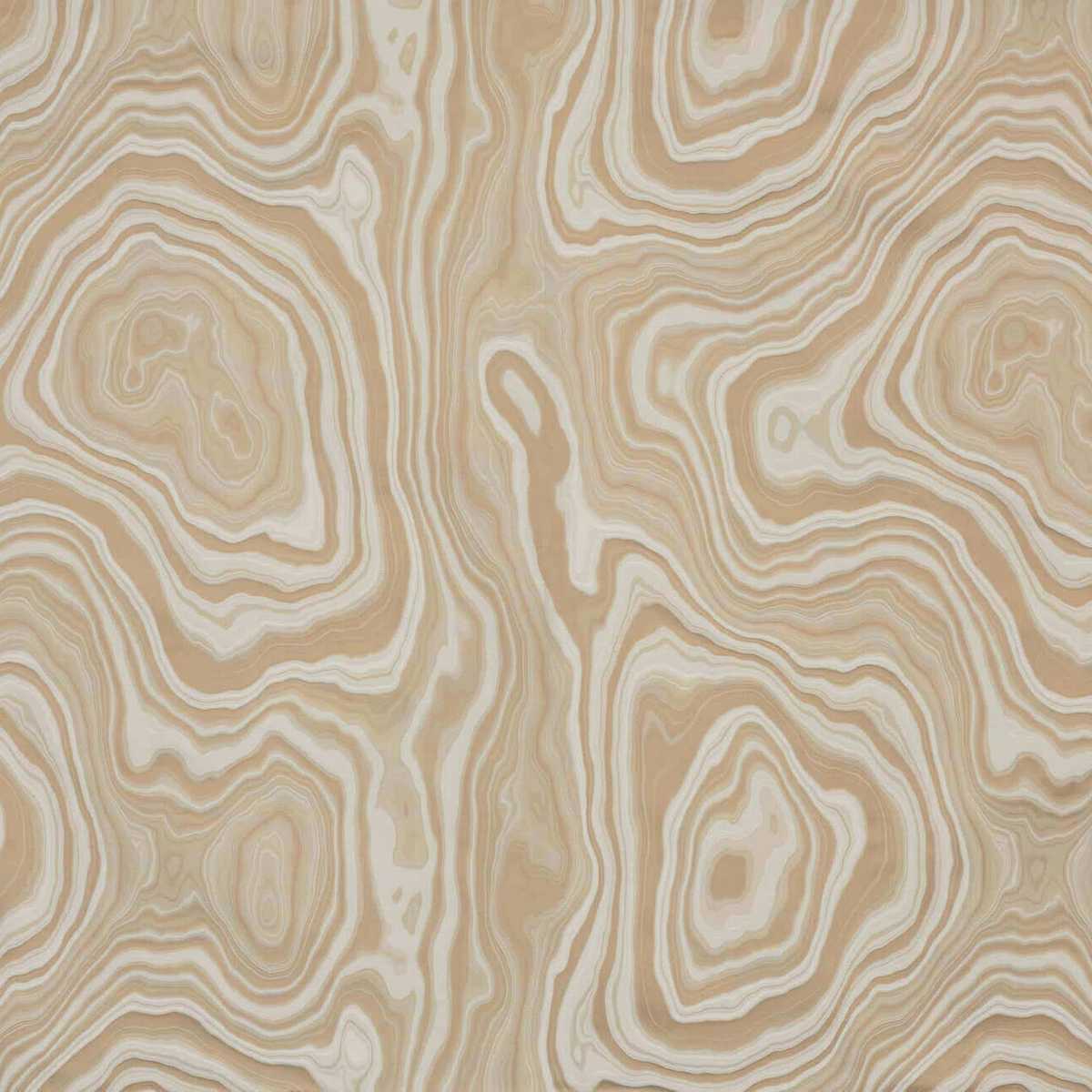 Eco I6596003
