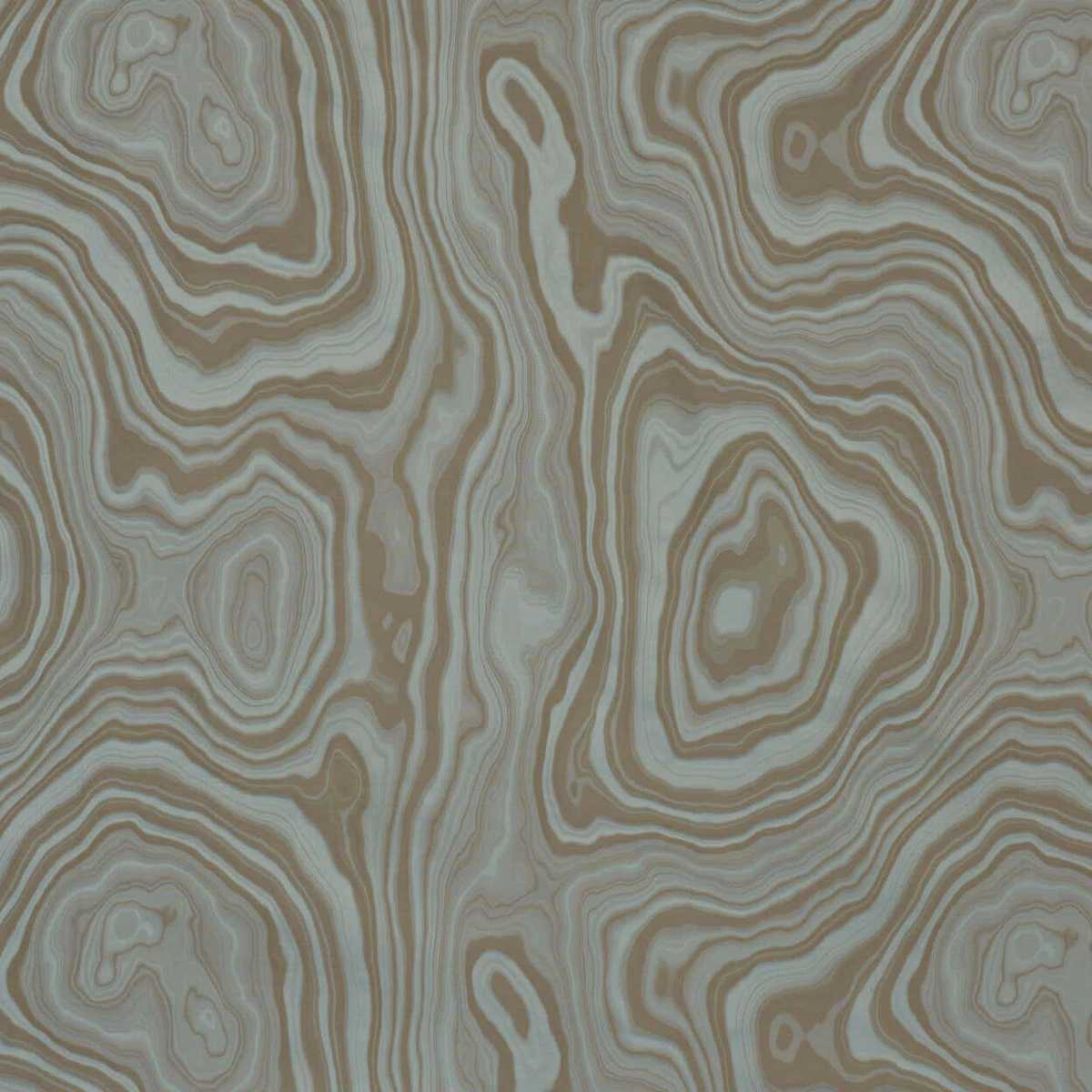 Eco I6596005