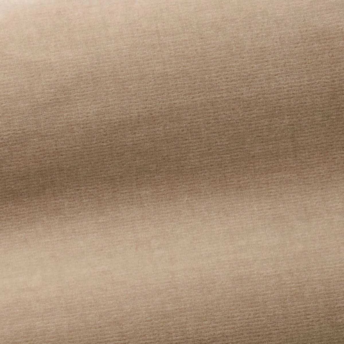 Organzino I6604002