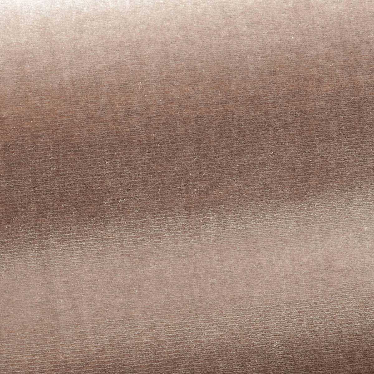 Organzino I6604003