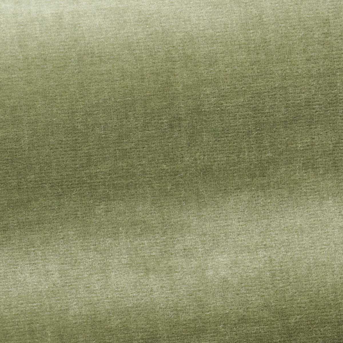 Organzino I6604004