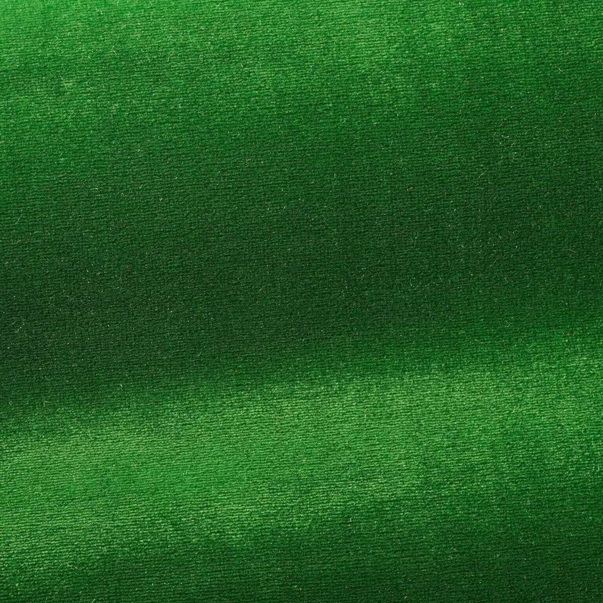 Organzino I6604006