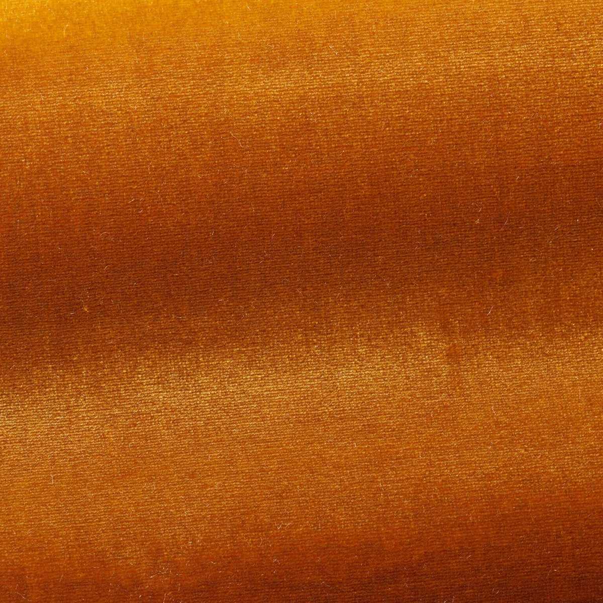 Organzino I6604007