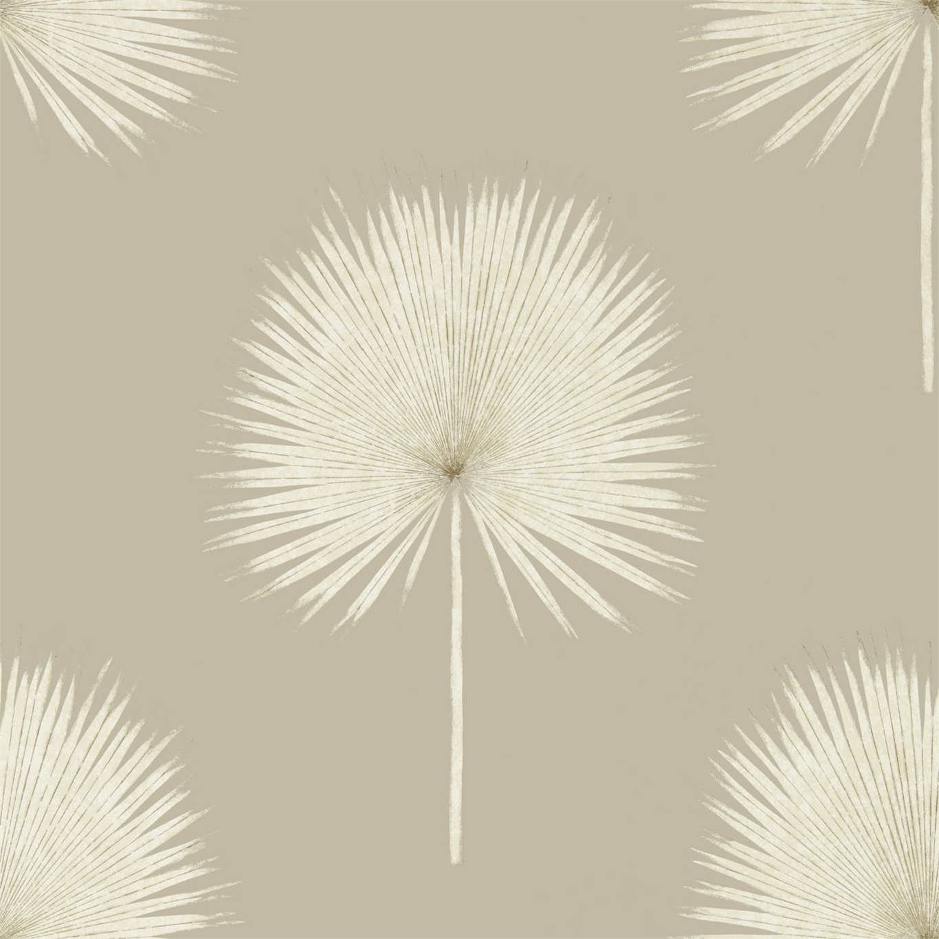 Fan Palm 216637