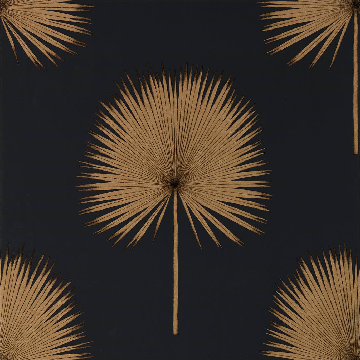 Fan Palm 216639