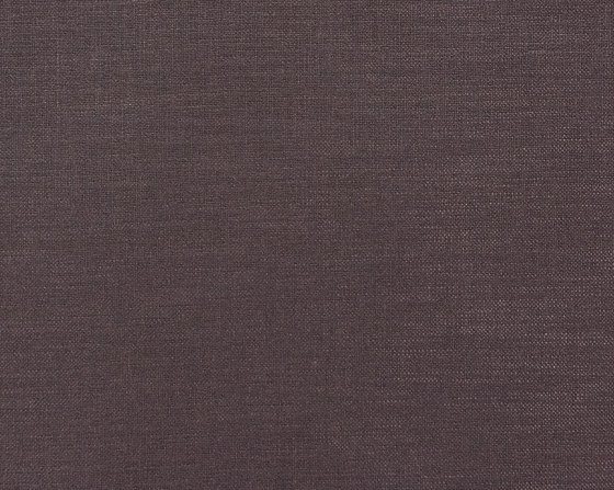 Fanello 2423-10