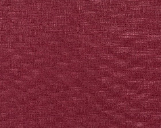 Fanello 2423-11