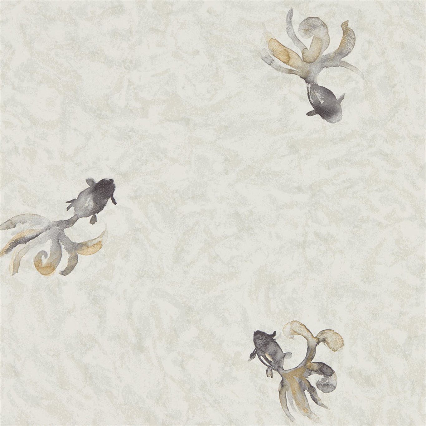 Fantail 216286