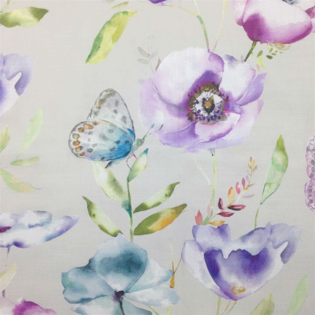 Farfalla Plum