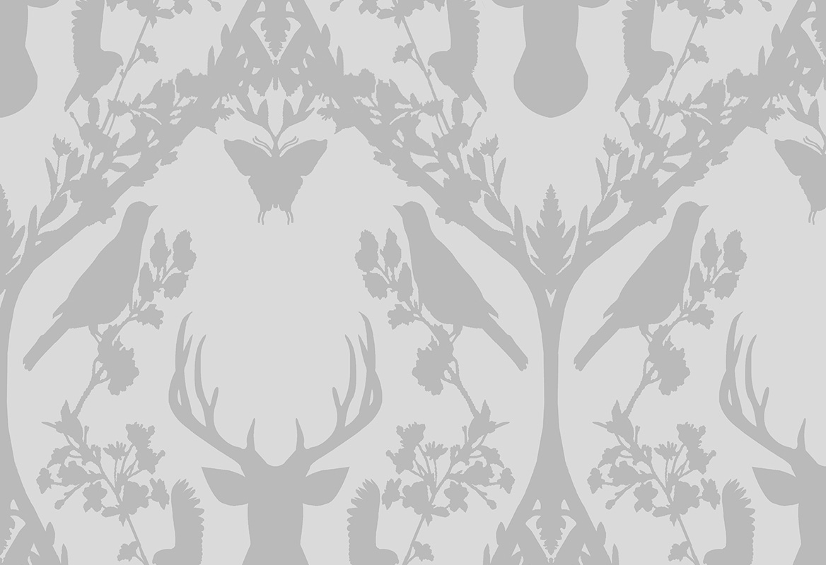 Fauna 58041