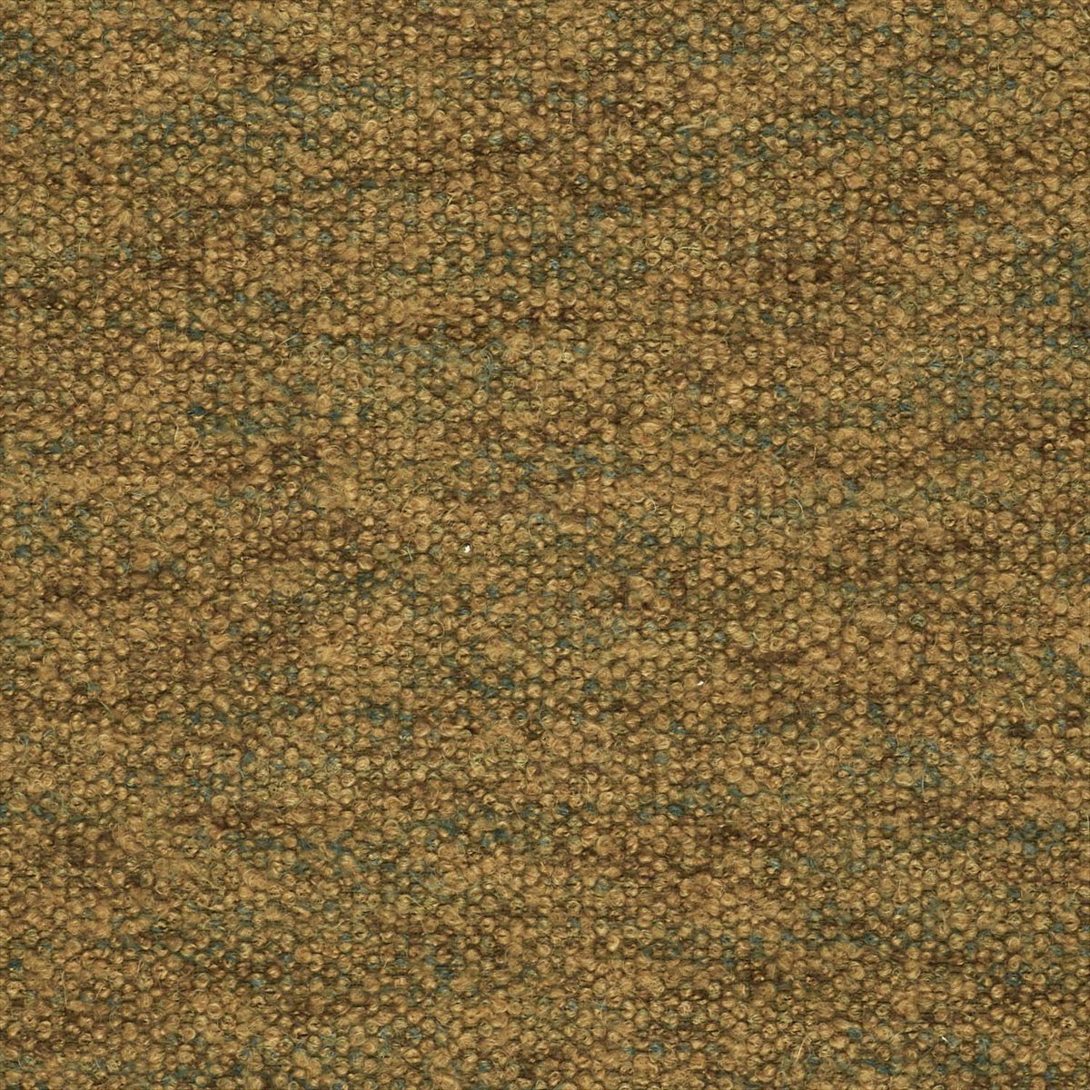 Favila LCT-1004 003
