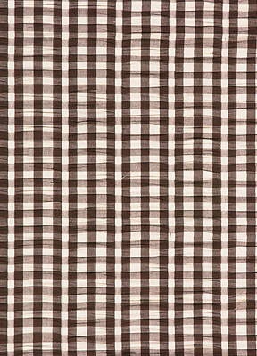 Gingham Seersucker Soft Brown Cream FD469L20