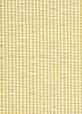 Gingham Seersucker Soft Green Cream FD469Q23