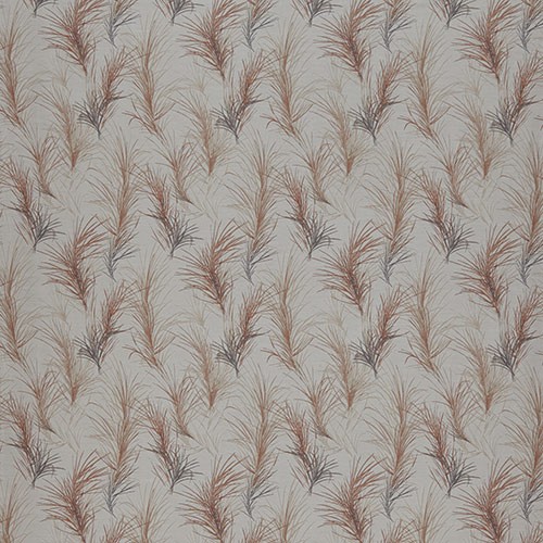 Feather Boa Coral