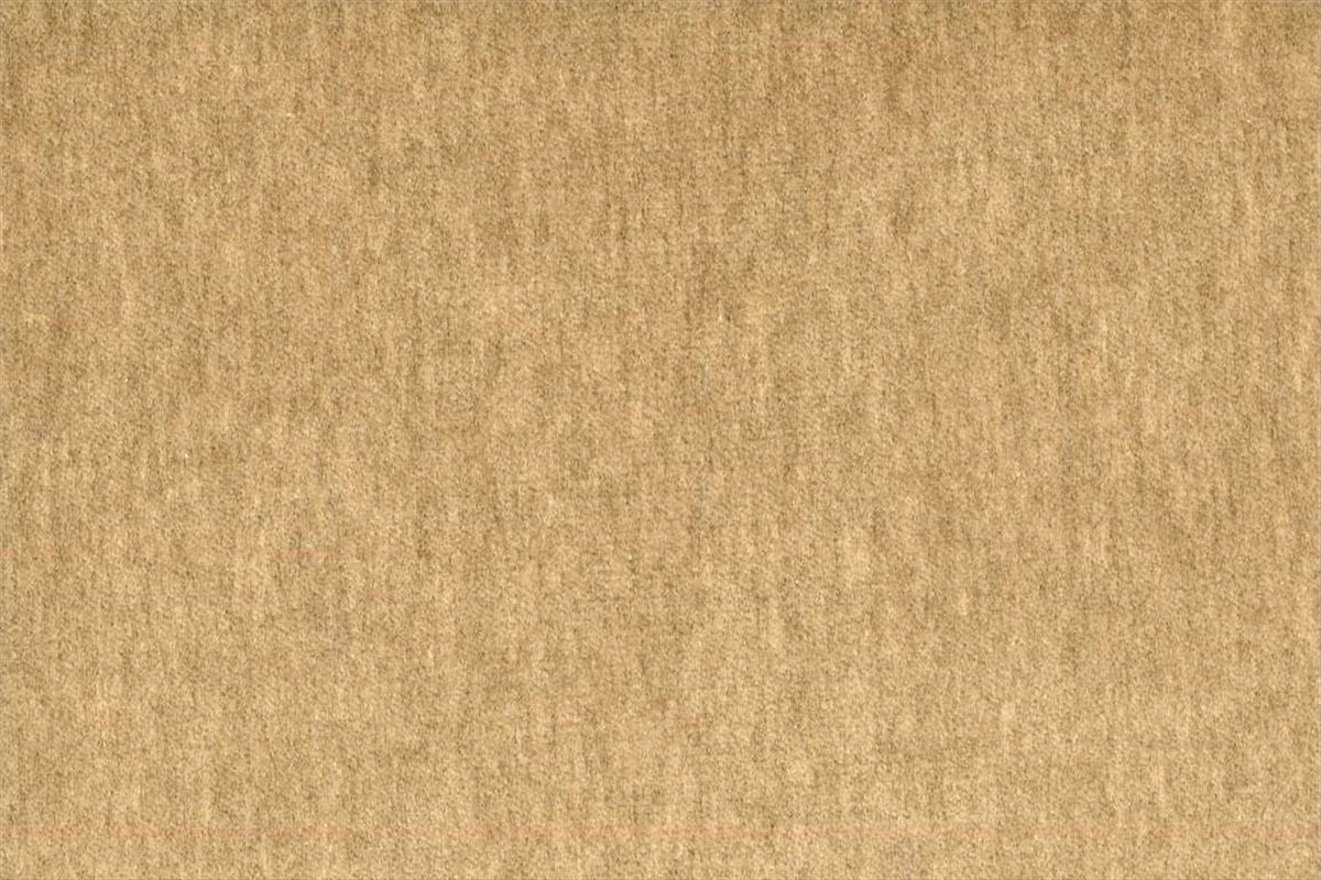 Fenice AC113-003